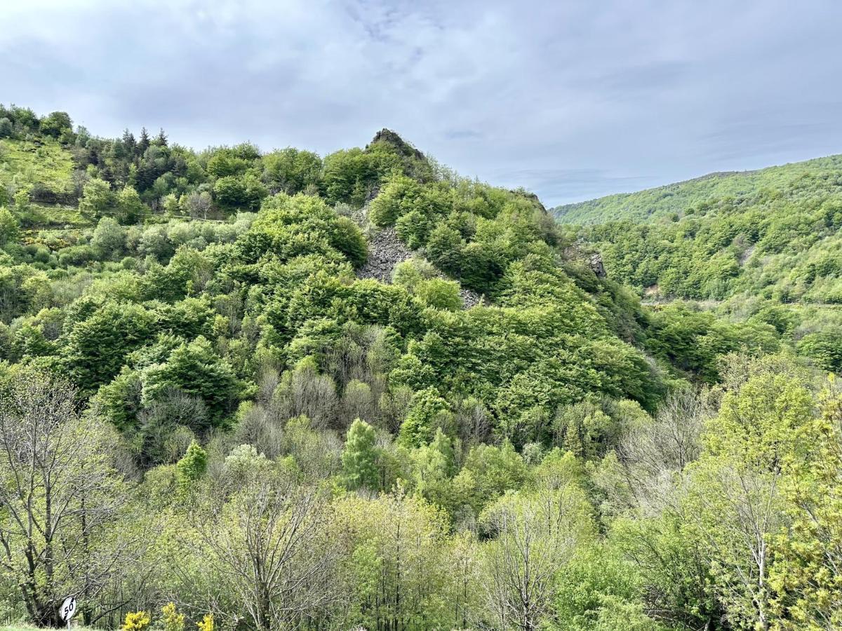 Gite De Noe Au Ray-Pic Pereyres Εξωτερικό φωτογραφία