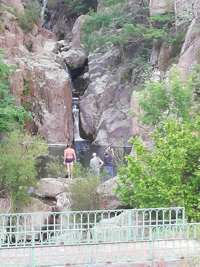 Gite De Noe Au Ray-Pic Pereyres Εξωτερικό φωτογραφία